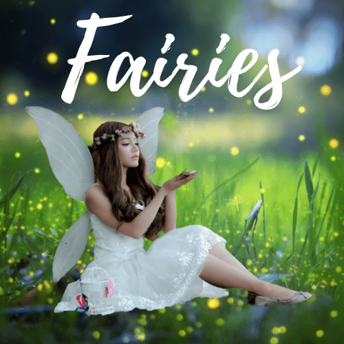 Fairies